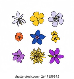 Colorful floral elements vector collection. Spring floral design.