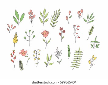 Colorful floral and herbal set. Graphic collection with fantasy field herbs. Hand drawn elements. Botanical elements for design on a white background.