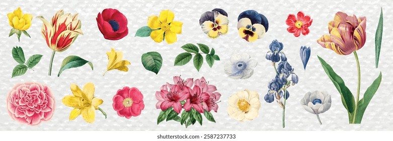 Colorful floral illustration with various flowers. Vibrant flowers in different shapes and colors. Diverse flowers arranged artistically. Spring illustrations, vector set.