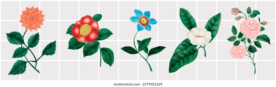 Colorful floral illustrations featuring various flowers. Flowers include orange, red, blue, white, and pink blooms. Green leaves complement each flower design. Spring flower illustrations, vector set.