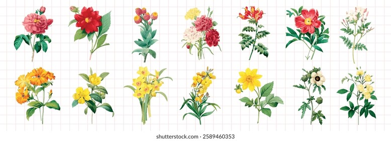 Colorful floral illustrations featuring various flowers like roses, daisies, and lilies. Each flower is distinct, showcasing vibrant petals and green leaves. Floral illustrations, isolated vector set.