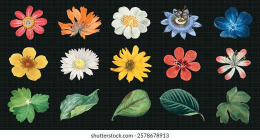 Colorful floral illustrations on a dark grid background. Includes various flowers and leaves, showcasing vibrant colors and intricate details. Spring flower illustrations, isolated vector set.