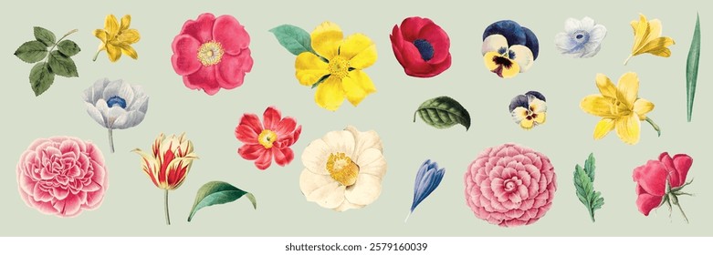 Colorful floral illustrations with roses, tulips, and pansies. Vibrant flowers like roses and tulips. Beautiful pansies and roses add charm. Spring illustrations, vector set.