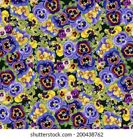 Colorful floral pansy seamless pattern on dark green background vector