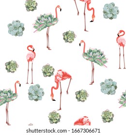 Colorful floral pattern with flamingo and exotic succulent illustration. Fashion ornament on white background.