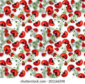 Colorful floral poppies seamless pattern on white background vector