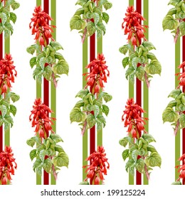 Colorful floral seamless pattern on white background vector