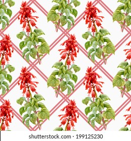 Colorful floral seamless pattern on white background vector