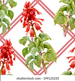 Colorful floral seamless pattern on white background vector