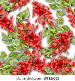 Colorful floral seamless pattern on white background vector