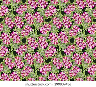 Colorful floral seamless pattern on dark green background vector