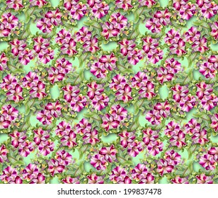 Colorful floral seamless pattern on green background vector