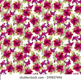 Colorful floral seamless pattern on white background vector