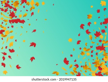 Colorful Floral Vector Blue Background. Paper Leaves Frame. Brown September Plant Design. Collection Illustration.