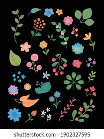 Colorful floral vector illustration combination isolated on black background
