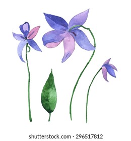 Colorful floral vector set for invitation, wedding or greeting cards.Watercolor Vector Flowers. Vector Watercolour Flowers.