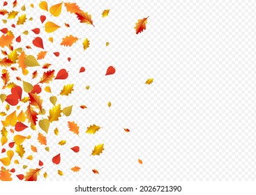 Colorful Floral Vector Transparent Background. Season Leaf Template. Red Celebrate Plant Design. Collection Card.