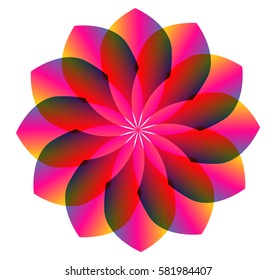 Colorful Flower