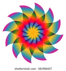 Colorful Flower