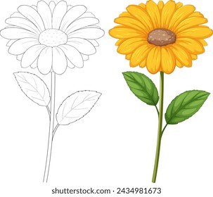 Colorful flower beside its black and white sketch
