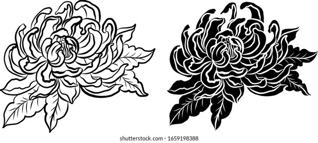 colorful flower with chrysanthemum for printing on background.chrysanthemum flower vector for tattoo design.Japanese floral illustration for doodle art on white isolated background.