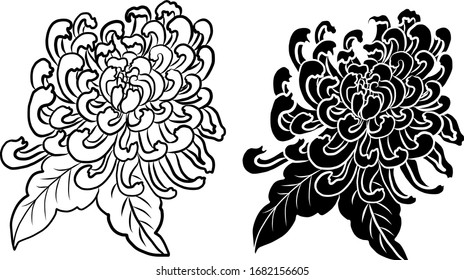 colorful flower with chrysanthemum for printing on background.Chrysanthemum flower vector for tattoo design.Japanese floral illustration for doodle art on white isolated background.