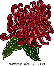 colorful flower with chrysanthemum for printing on background.Chrysanthemum flower vector for tattoo design.Japanese floral illustration for doodle art on white isolated background.
