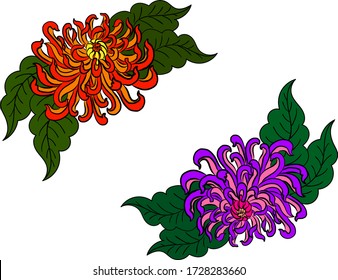 colorful flower with chrysanthemum for printing on background. Chrysanthemum flower vector for tattoo design.Japanese floral illustration for doodle art on white isolated background.