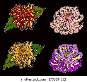 colorful flower with chrysanthemum for printing on background. Chrysanthemum flower vector for tattoo design.Japanese floral illustration for doodle art on white isolated background.Peony vector.