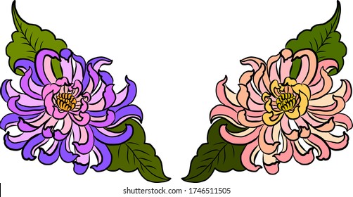 colorful flower with chrysanthemum for printing on background. Chrysanthemum flower vector for tattoo design.Japanese floral illustration for doodle art on white isolated background.