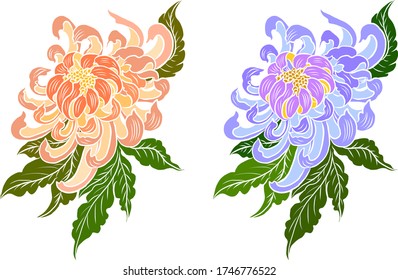 colorful flower with chrysanthemum for printing on background. Chrysanthemum flower vector for tattoo design.Japanese floral illustration for doodle art on white isolated background.