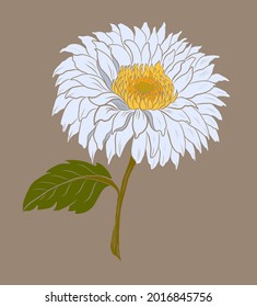 colorful flower with chrysanthemum for printing on background.Sun flower vector for tattoo design.Japanese floral illustration for doodle art on white isolated background.
