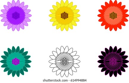 Colorful Flower Design