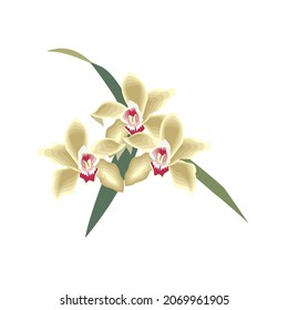 archivo vectorial de diseño de flor colorido 