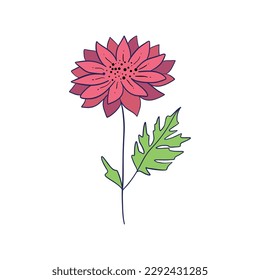 Colorful flower, hand drawn, vector flat illustration. Flowering plants with stems and leaves isolated on white. Floral decoration or gift. for your design