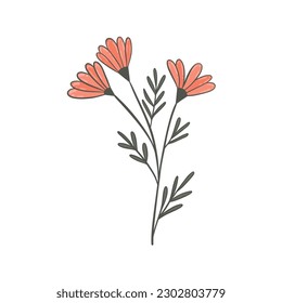 Flor colorida, dibujada a mano, ilustración plana vectorial. Plantas floridas con tallos y hojas aisladas en blanco. Decoración floral o regalo. para su diseño