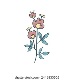 Colorful flower, hand drawn, vector flat illustration. Flowering plants with stems and leaves isolated on white. Floral decoration or gift. for your design