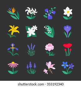 Colorful flower icons. Included the icons as plumeria , iris, lily of the valley, poppy, lavender, jasmine and more.