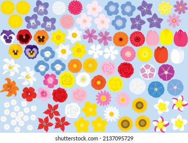 Colorful colorful flower illustration set