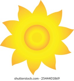 Colorful Flower Illustration Set Vector