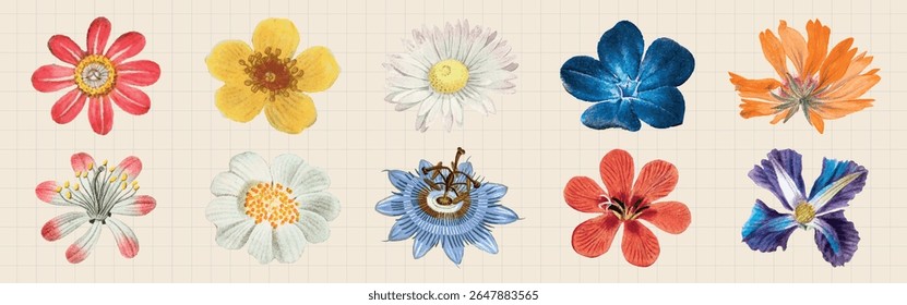Ilustrações de flores coloridas em papel de grade. Cada flor é única, apresentando pétalas vibrantes. Desenhos de flores artísticas em um fundo de grade. Variedade floral. Ilustrações de flores de primavera, vetores.