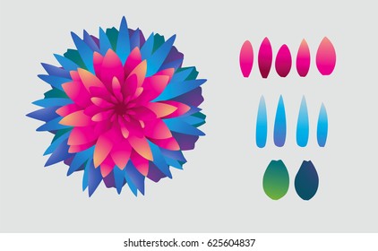 Colorful flower with isolated petals  Vector illustration.