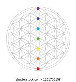 colorful flower of life geometry vector illustration EPS10