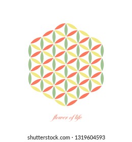 Colorful Flower of life mandala on white background. Sacred geometry and spiritual symbol. Logo design. Zen illustration. Yoga background. Emblem of harmony. Vector drawing.
