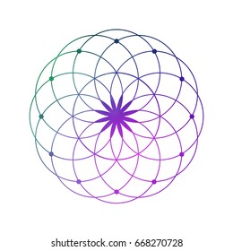 Colorful flower of life sacred geometry emblem on white - the interlocking circles ancient symbol.
