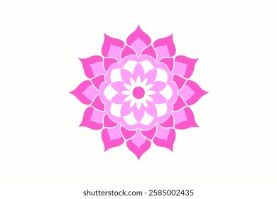 Colorful flower mandala design vector
