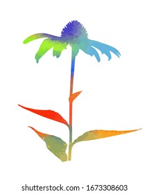 A colorful flower. Mixed media. Vector illustration