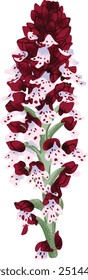 Colorful flower on a white background. Beautiful flower stickers colorful illustration set