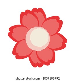 colorful flower over white background vector illustration