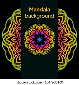 Colorful flower patterns. Stylized floral motif. Vector mandala design